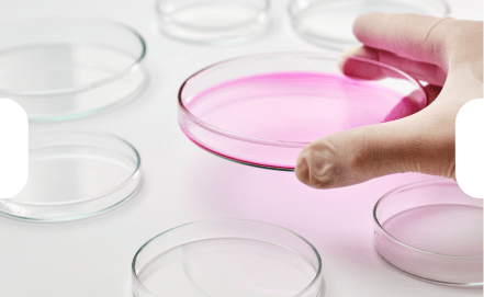 MESONUEVO的核心理念源自Dr. Mario的&ldquo;新美塑疗法&rdquo;，这是一种通过补充、修复和激活肌肤自然功能平衡，提升皮肤健康状态的全新理论。护肤的有效性不在于过度治疗，而是通过科学的方式恢复肌肤的自我调节能力。在每一款产品的研发中，MESONUEVO严格把控配方比例，确保活性成分温和渗透肌肤，激发其自我修复与再生能力，帮助肌肤保持在最佳健康状态。